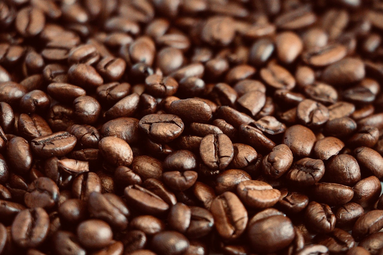 Solo el mejor café en nuestros shootings